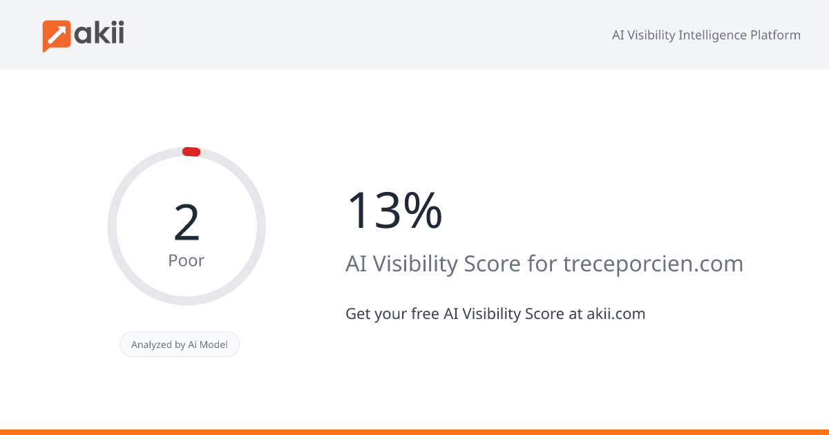13% AI Visibility Score