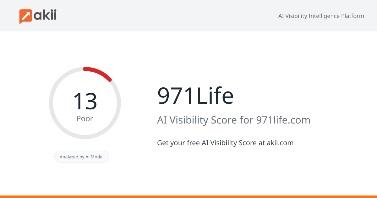 971Life AI Visibility Score