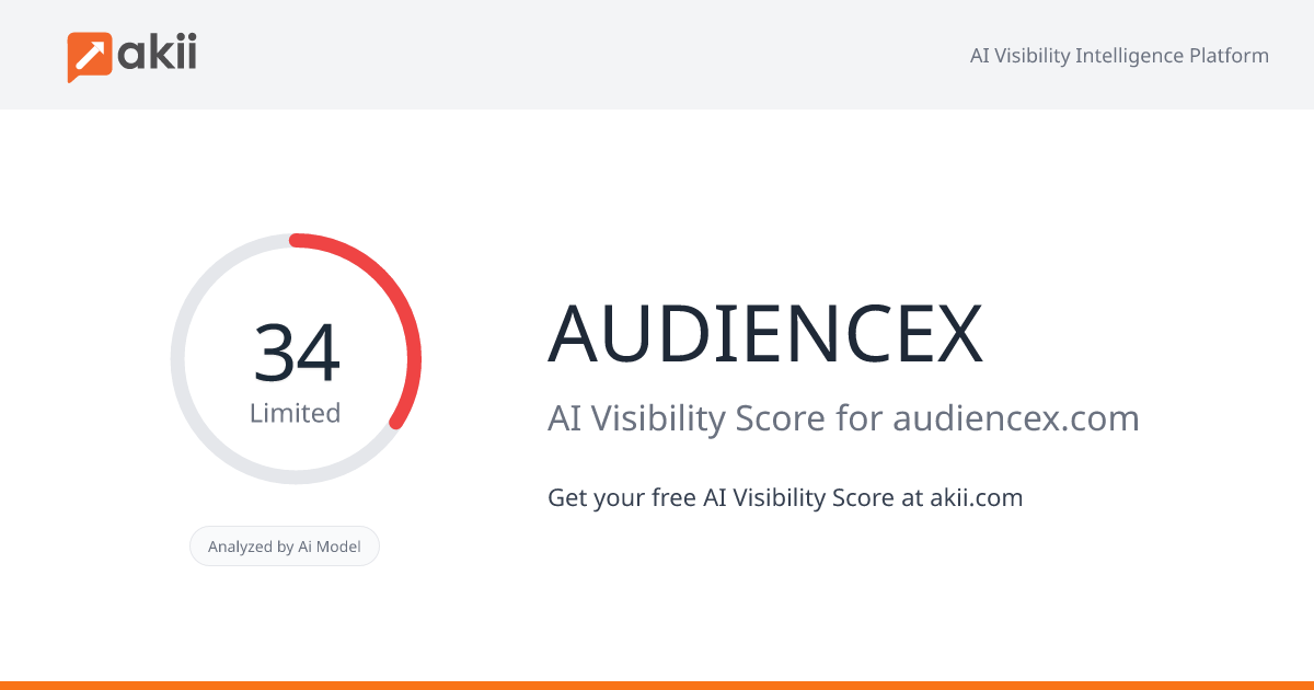 AUDIENCEX AI Visibility Score