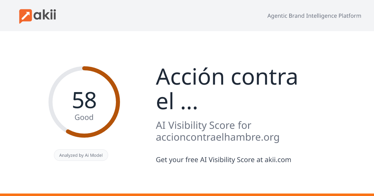 Acción contra el Hambre AI Visibility Score