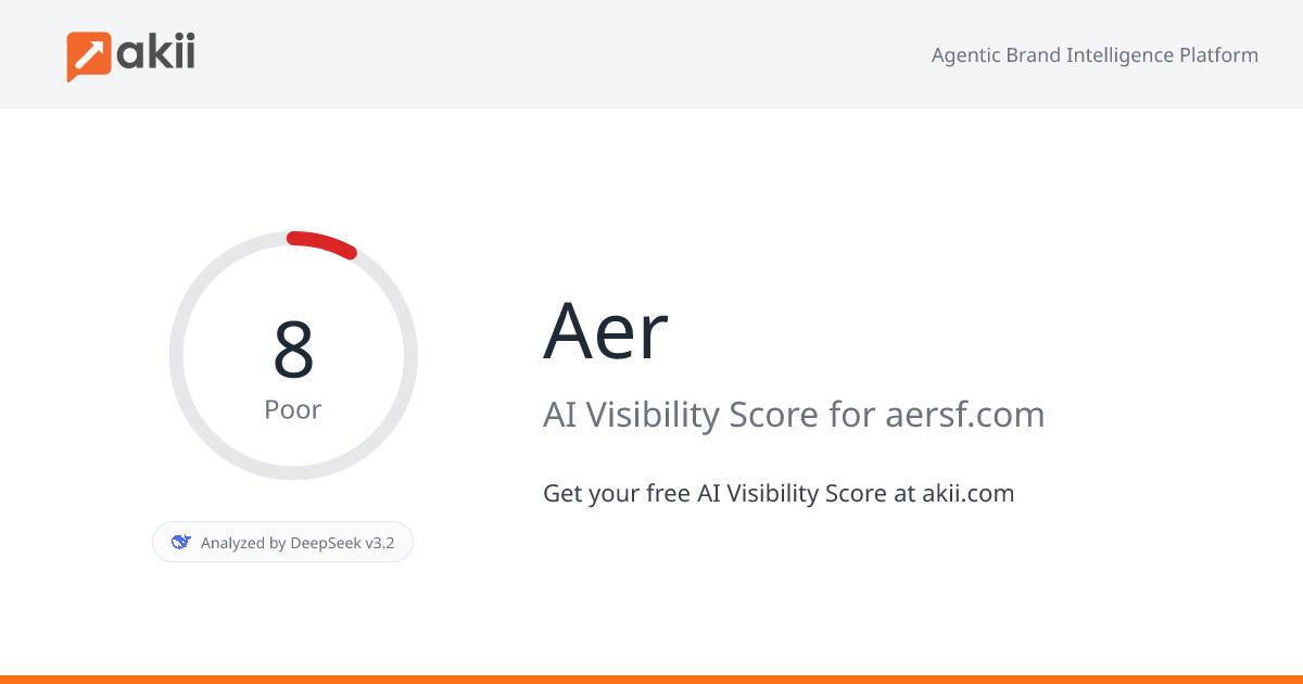 Aer AI Visibility Score