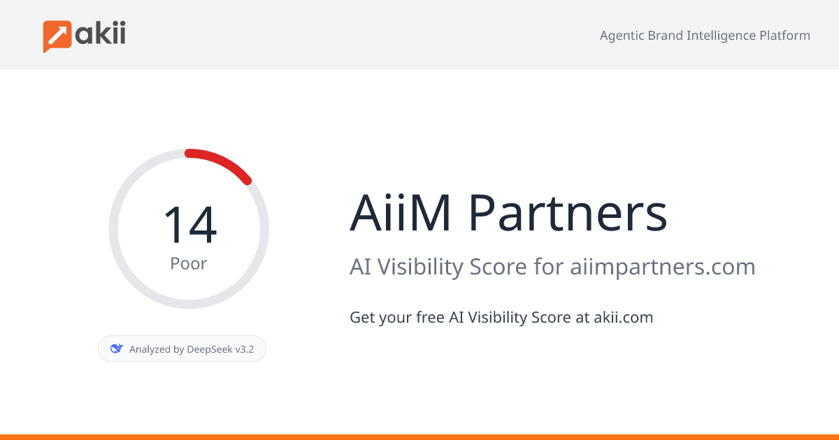 AiiM Partners AI Visibility Score
