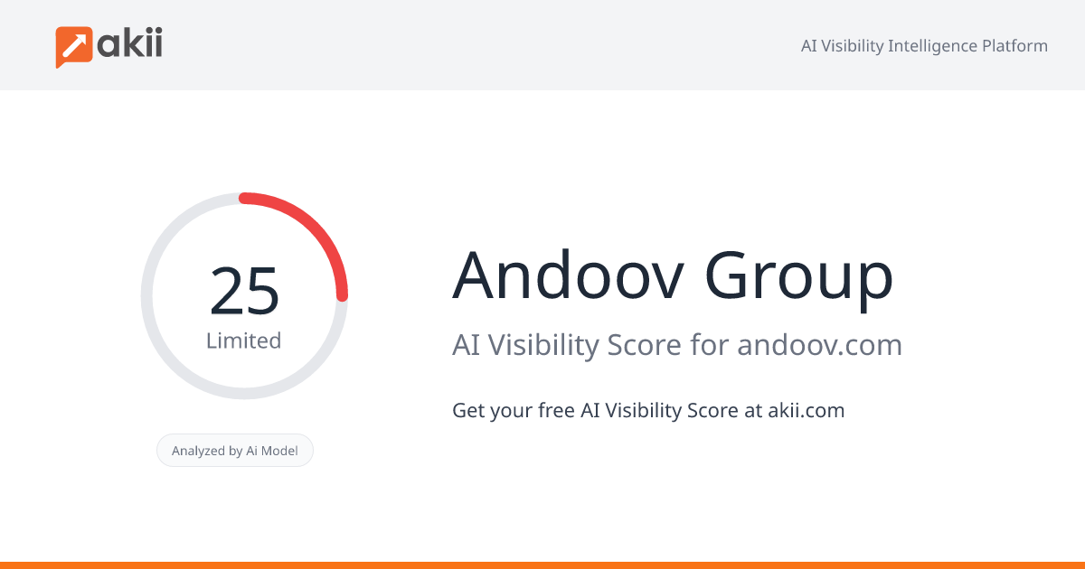 Andoov Group AI Visibility Score