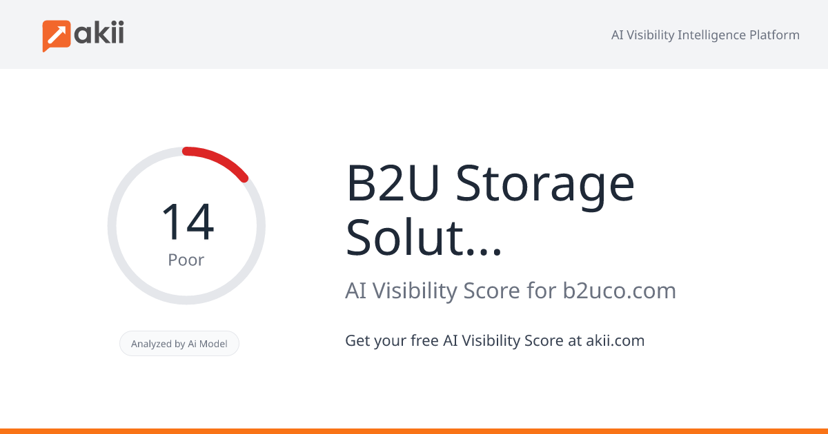 B2U Storage Solutions AI Visibility Score