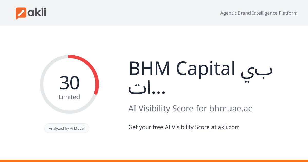 BHM Capital بي اتش ام كابيتال AI Visibility Score