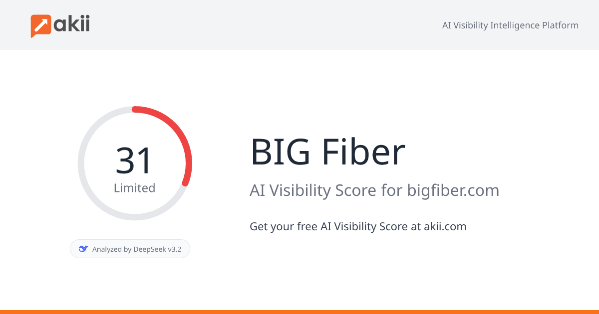 BIG Fiber AI Visibility Score