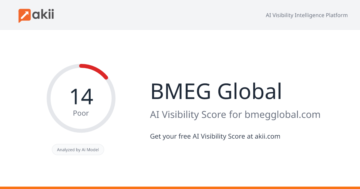 BMEG Global AI Visibility Score