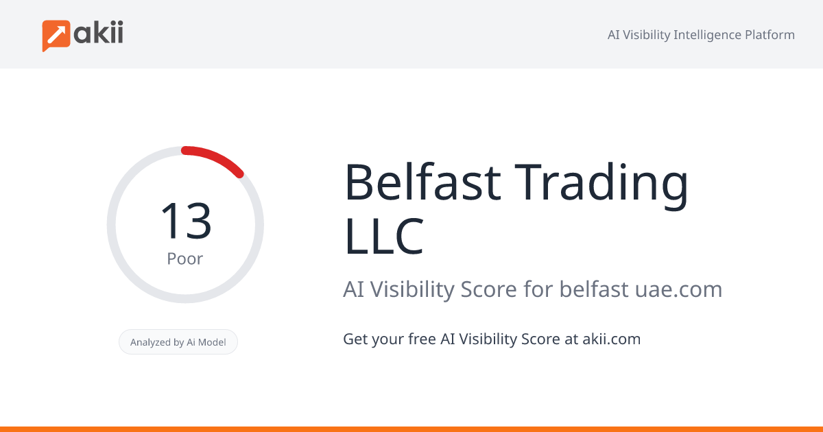 Belfast Trading LLC AI Visibility Score