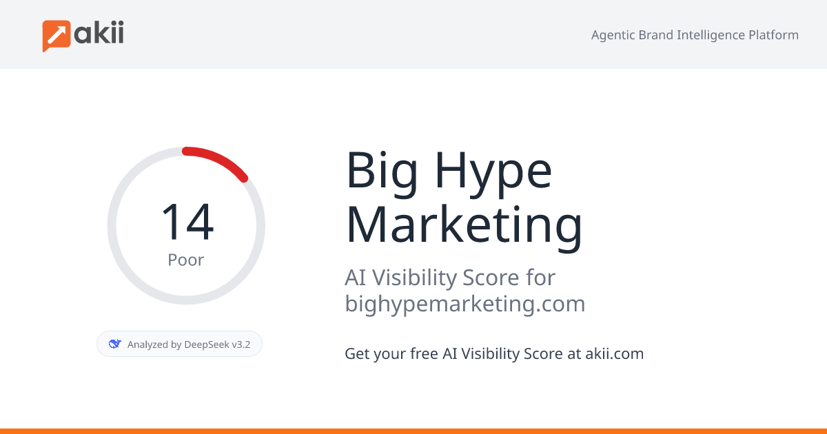 Big Hype Marketing AI Visibility Score