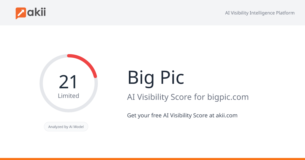 Big Pic AI Visibility Score
