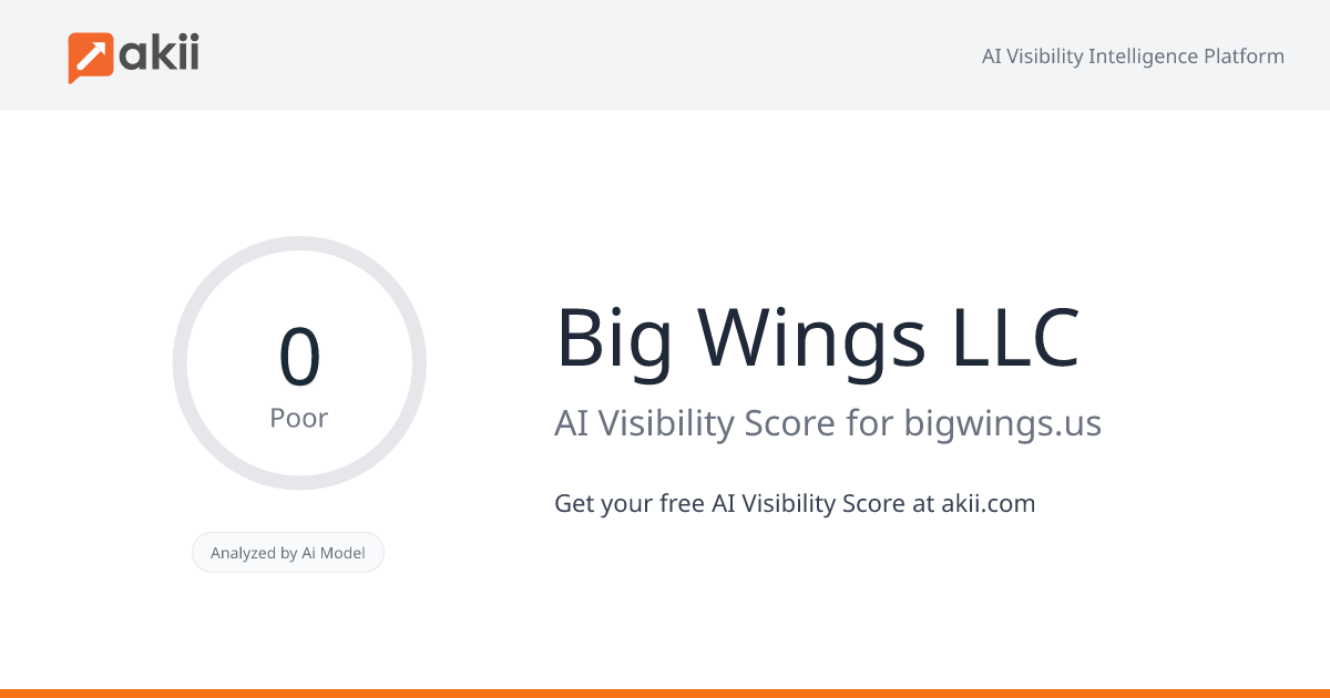 Big Wings LLC AI Visibility Score