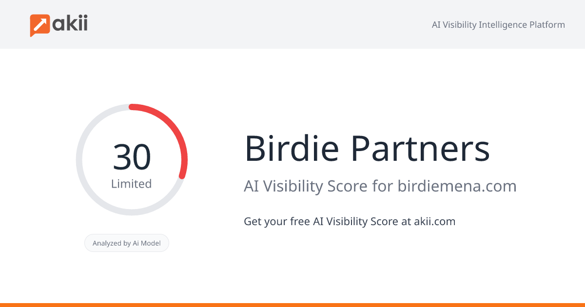 Birdie & Partners AI Visibility Score