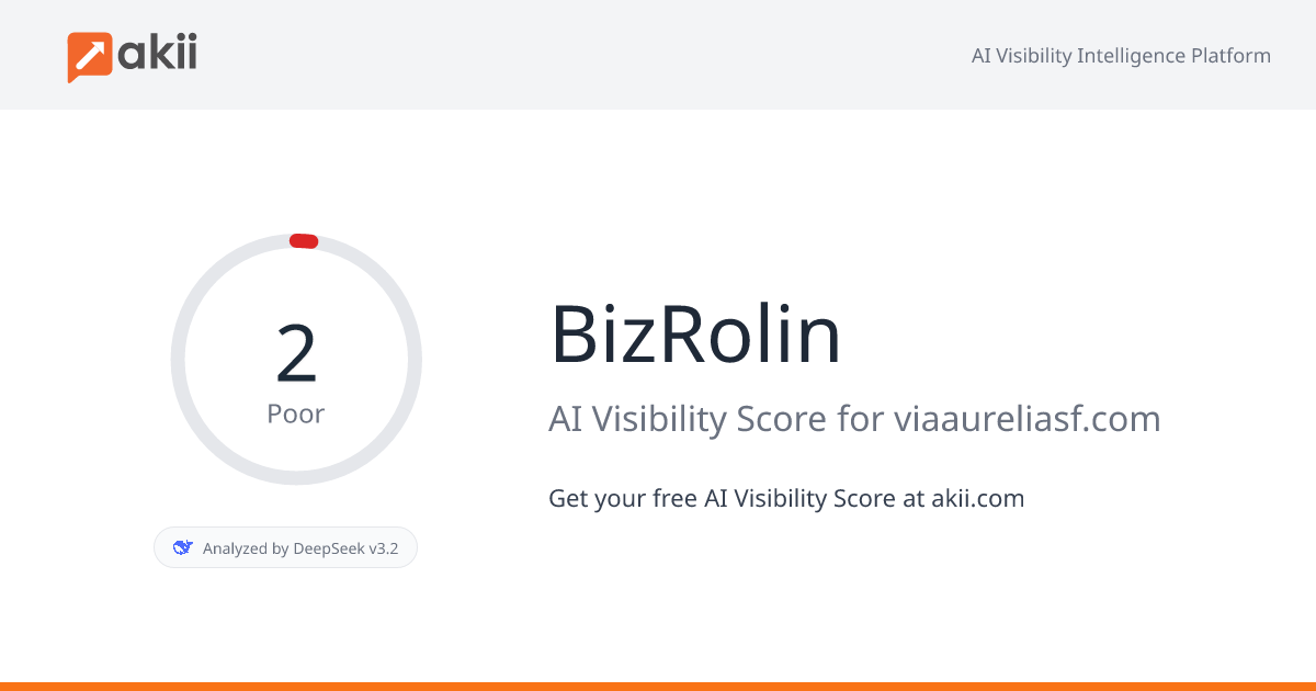 BizRolin AI Visibility Score