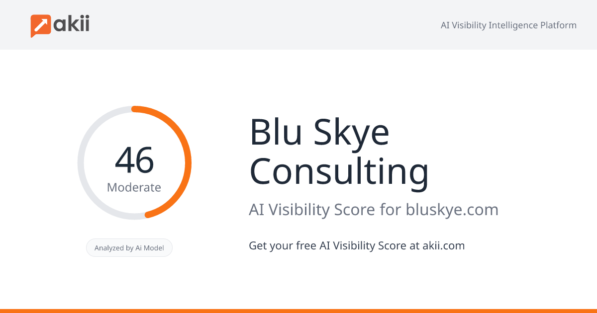 Blu Skye Consulting AI Visibility Score