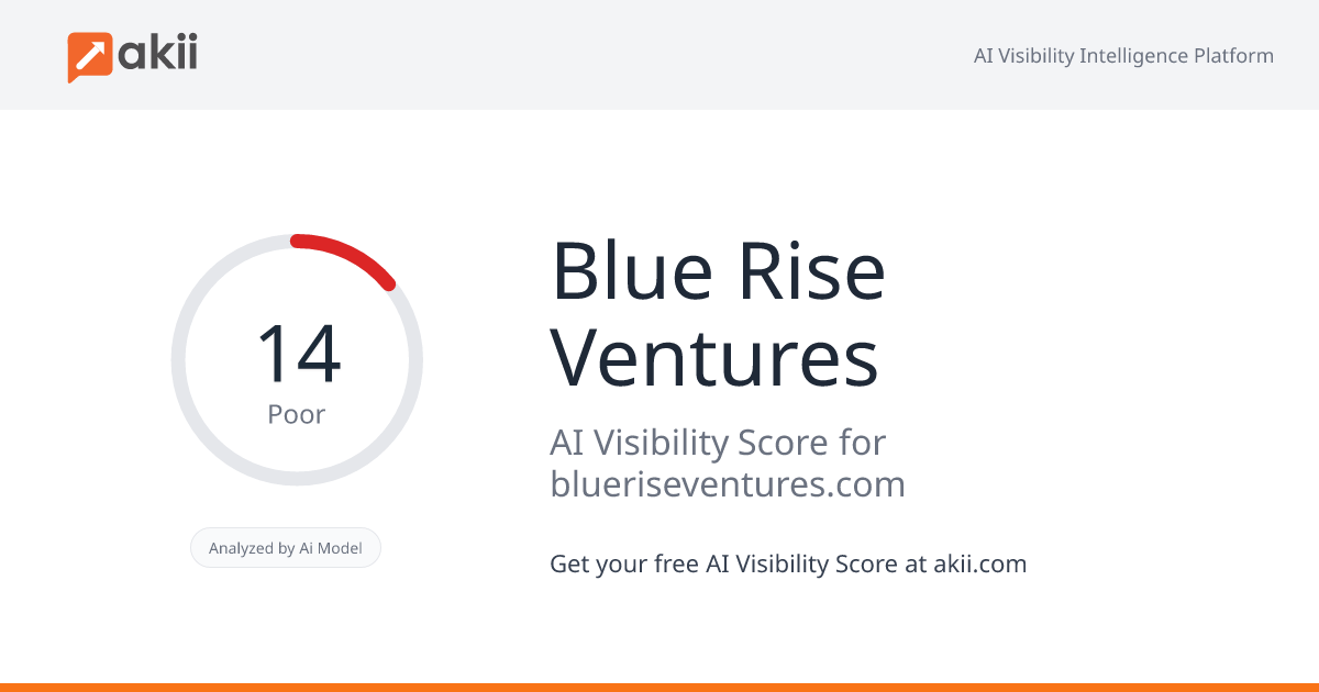 Blue Rise Ventures AI Visibility Score