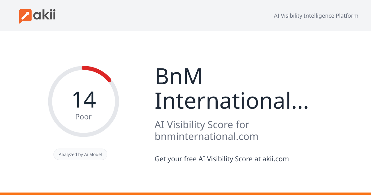 BnM International Advertising LLC AI Visibility Score