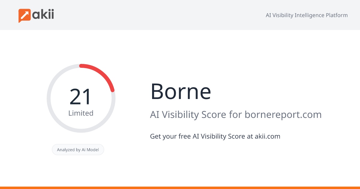 Borne AI Visibility Score