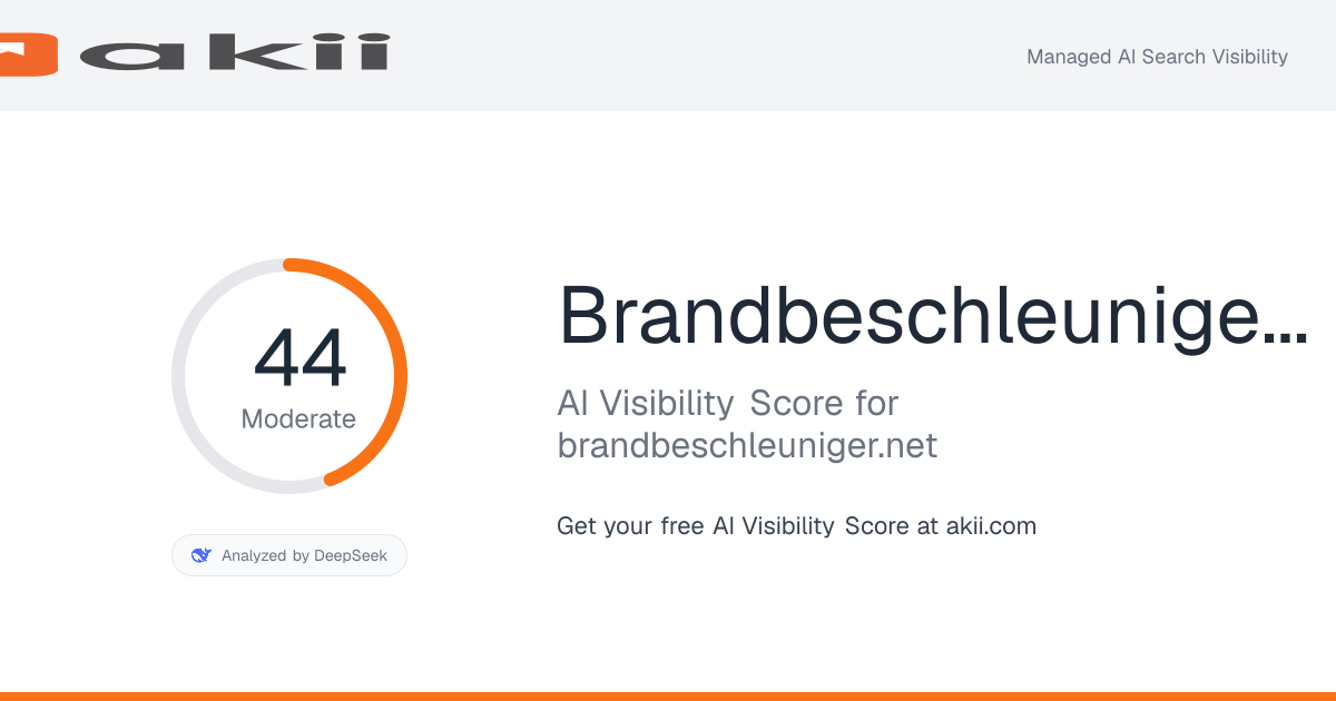 Brandbeschleuniger.net AI Visibility Score preview