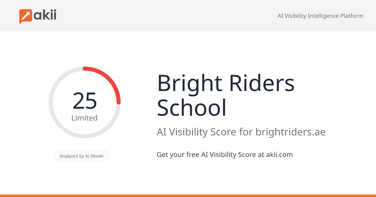 Bright Riders School AI Visibility Score