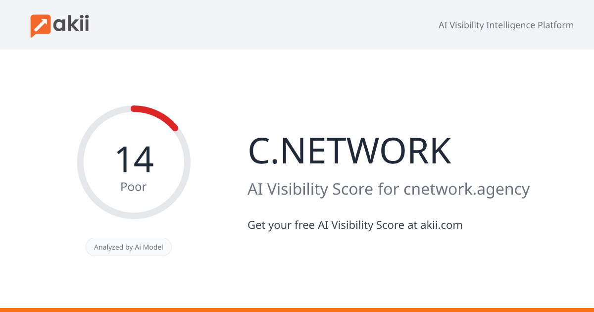 C.NETWORK AI Visibility Score