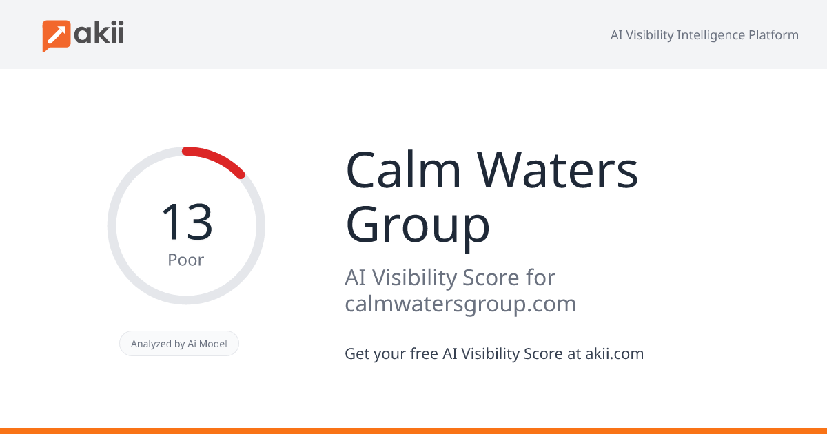 Calm Waters Group AI Visibility Score