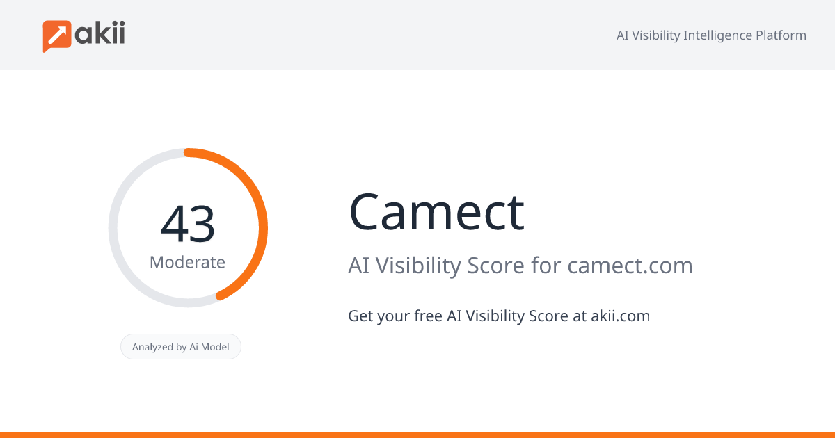 Camect AI Visibility Score