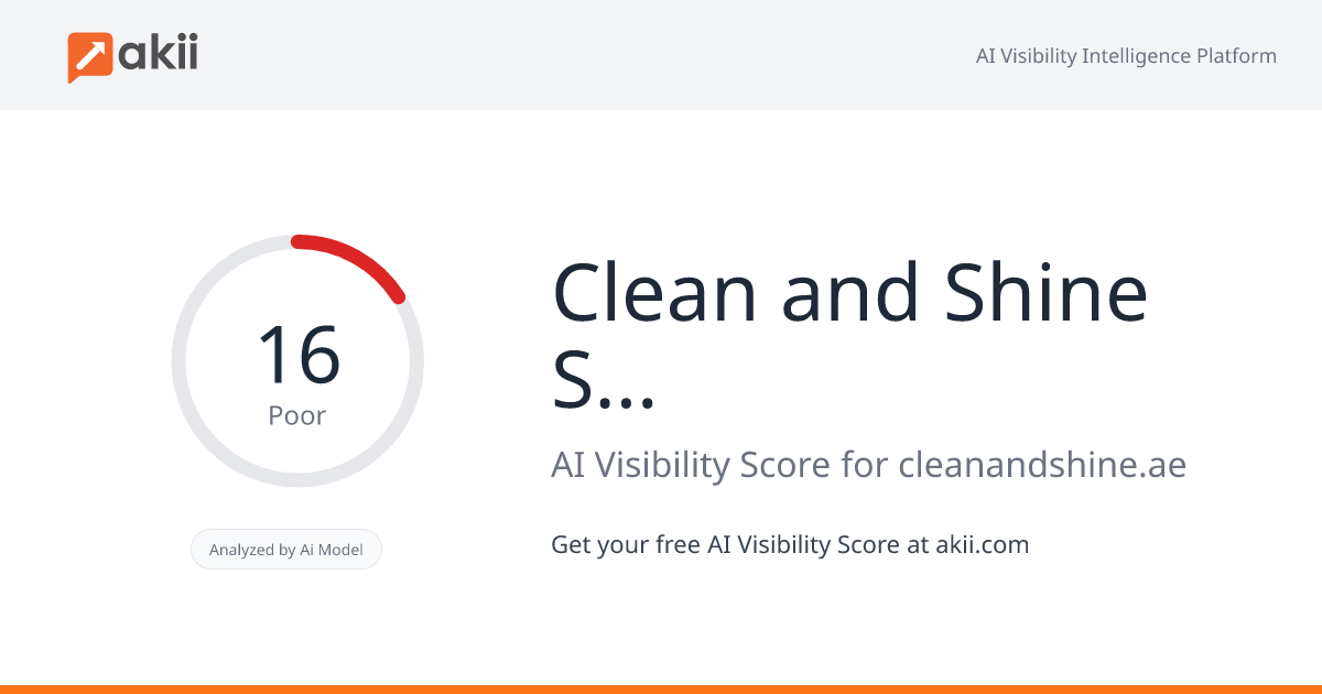 Clean and Shine Services AI Visibility Score