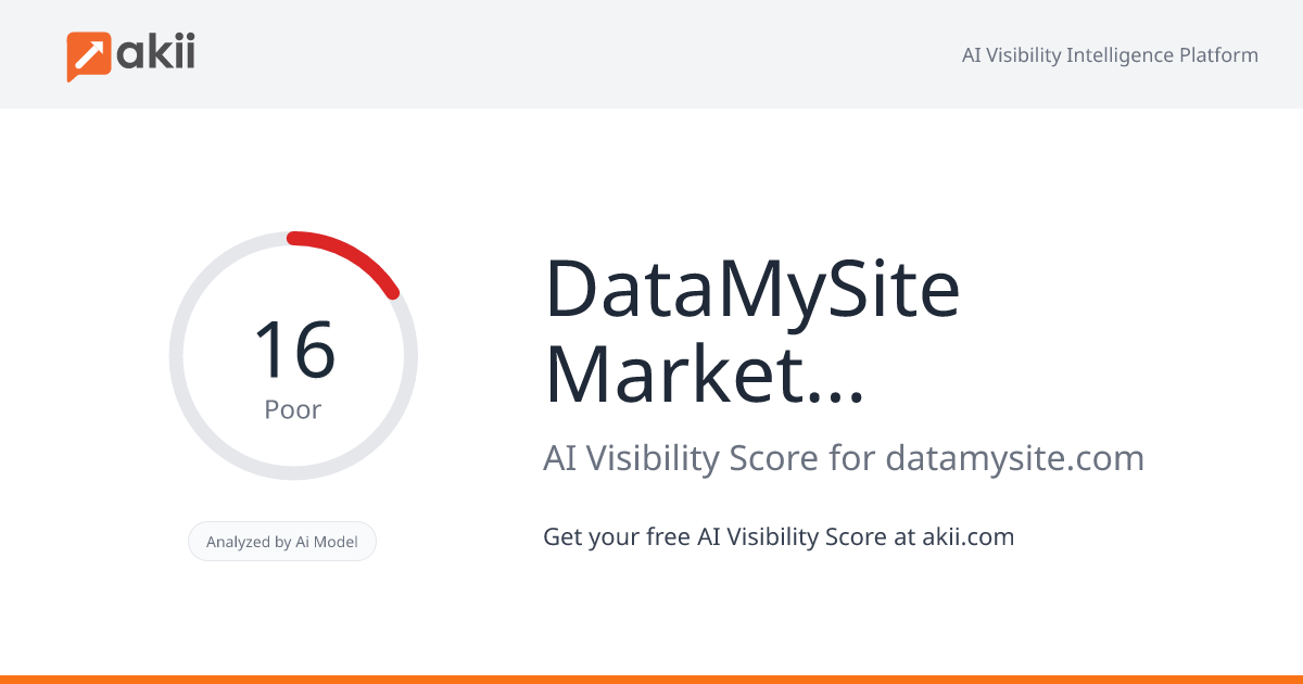 DataMySite Marketing LLC AI Visibility Score