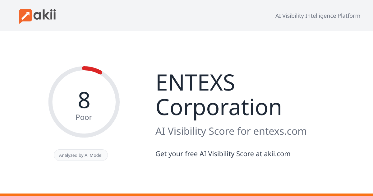 ENTEXS Corporation AI Visibility Score