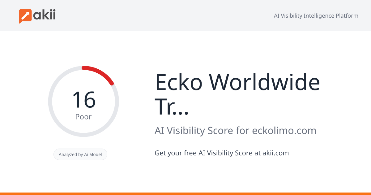 Ecko Worldwide Transportation AI Visibility Score