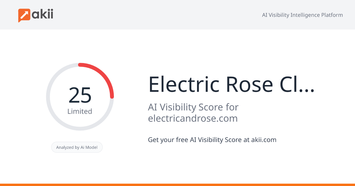 Electric & Rose Clothing AI Visibility Score