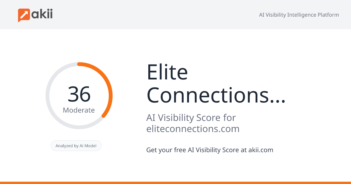 Elite Connections International Matchmaking AI Visibility Score