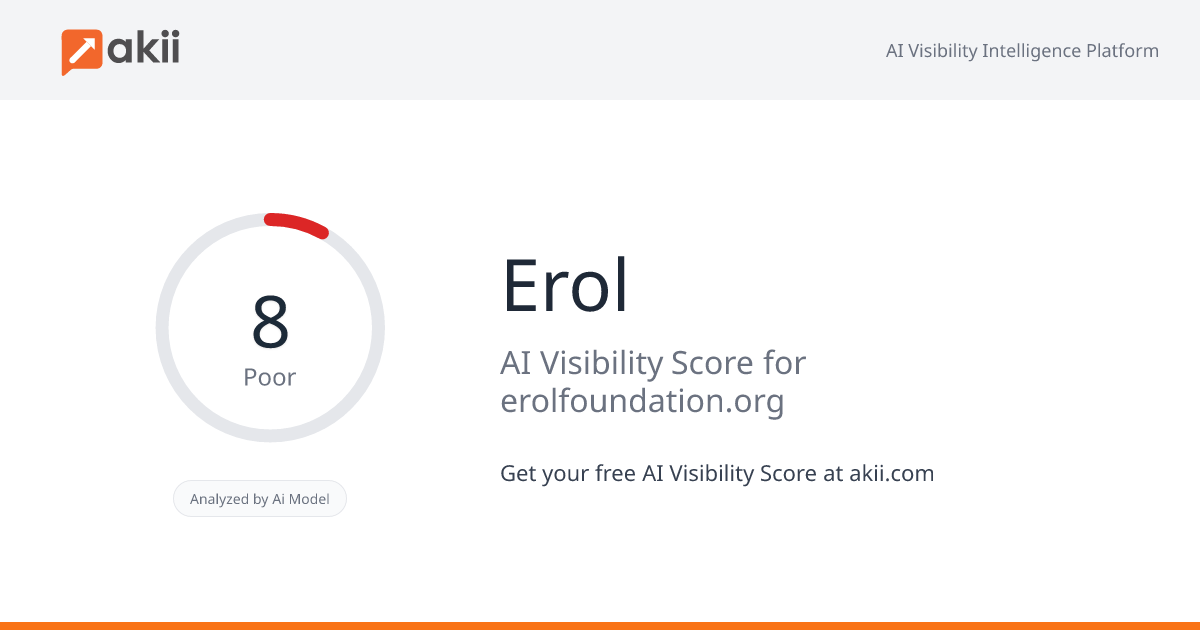 Erol AI Visibility Score