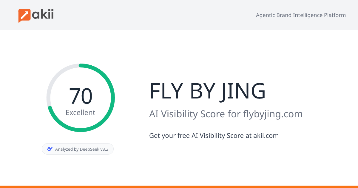 FLY BY JING AI Visibility Score