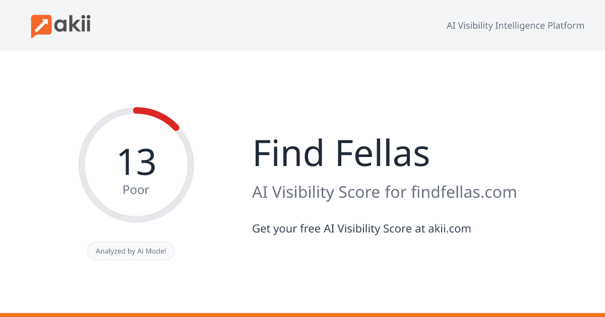Find Fellas AI Visibility Score
