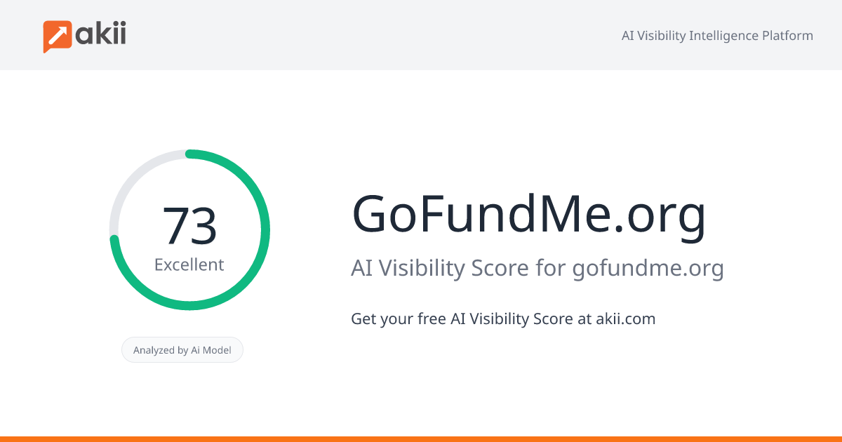 GoFundMe.org AI Visibility Score