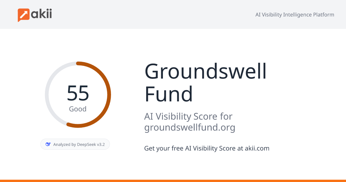 Groundswell Fund AI Visibility Score