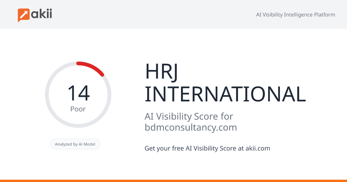 HRJ INTERNATIONAL AI Visibility Score