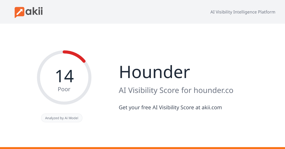 Hounder AI Visibility Score
