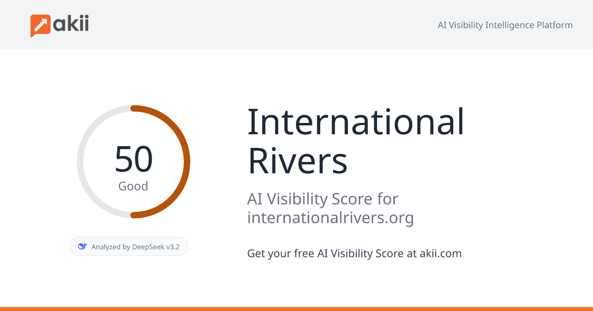 International Rivers AI Visibility Score