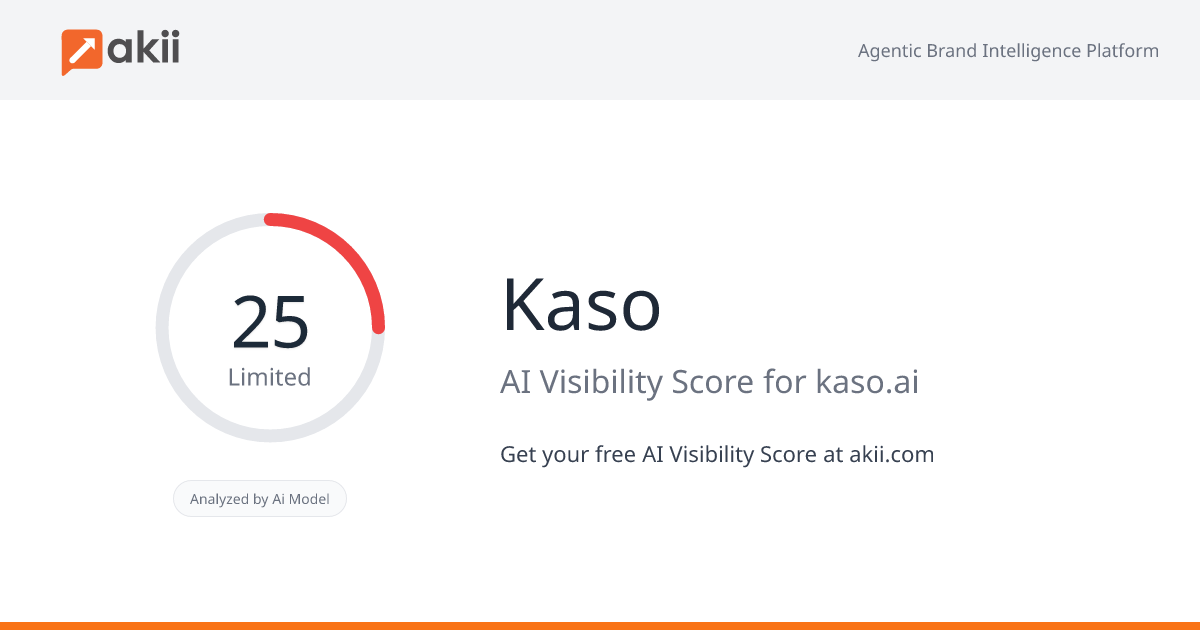 Kaso AI Visibility Score