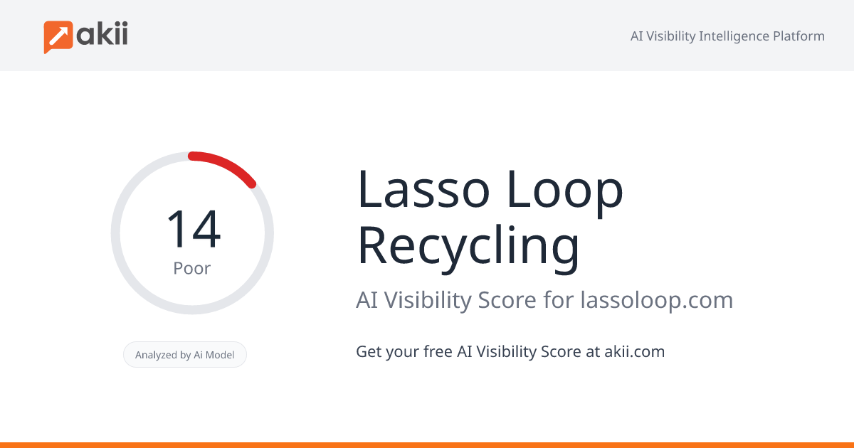 Lasso Loop Recycling AI Visibility Score