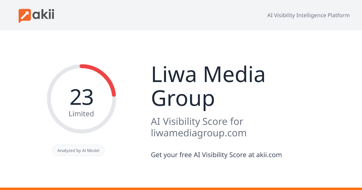 Liwa Media Group AI Visibility Score