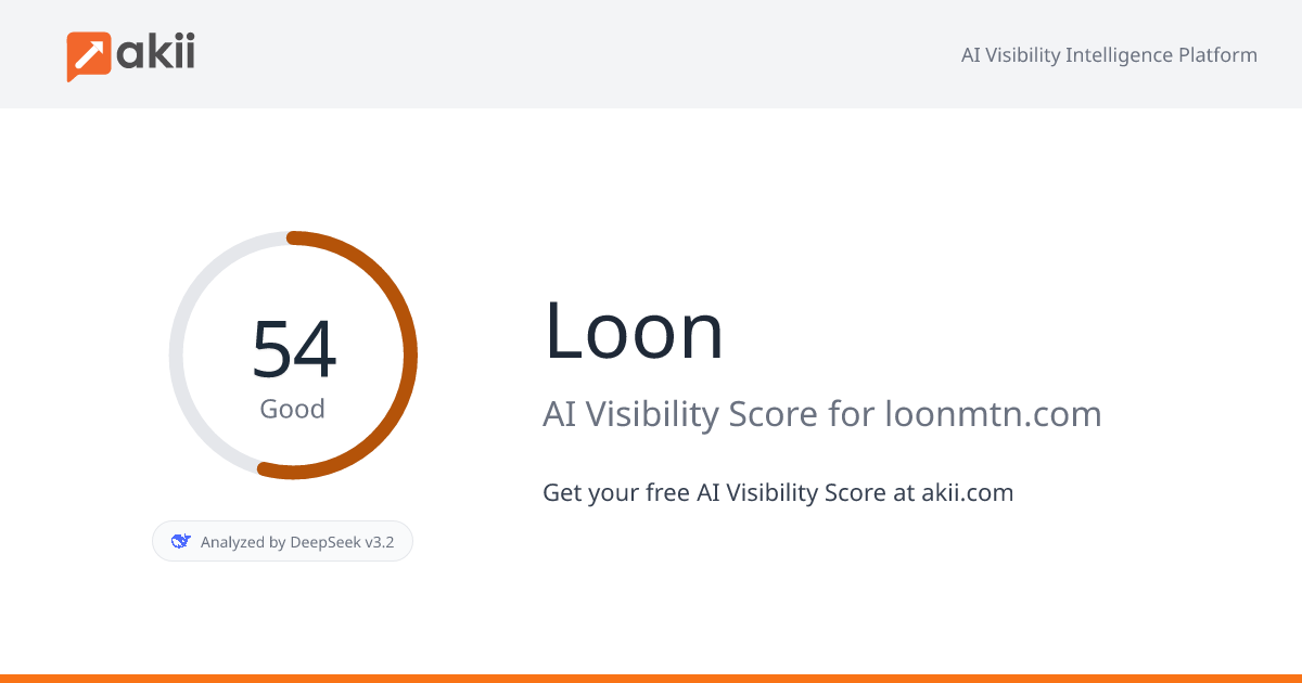 Loon AI Visibility Score