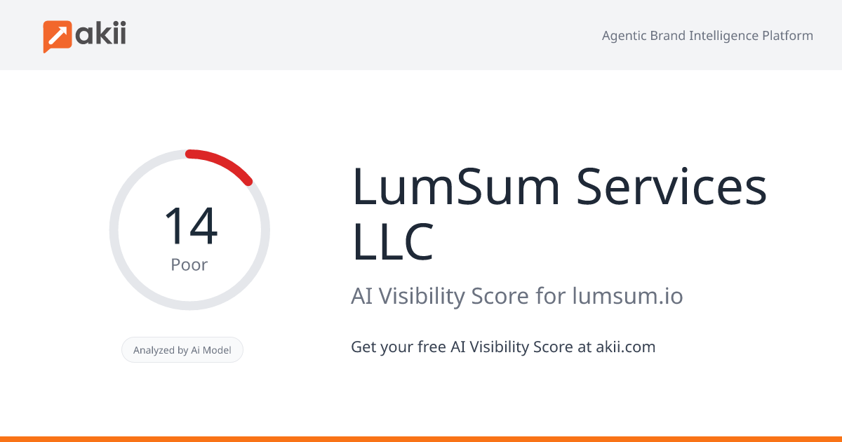 LumSum Services LLC AI Visibility Score