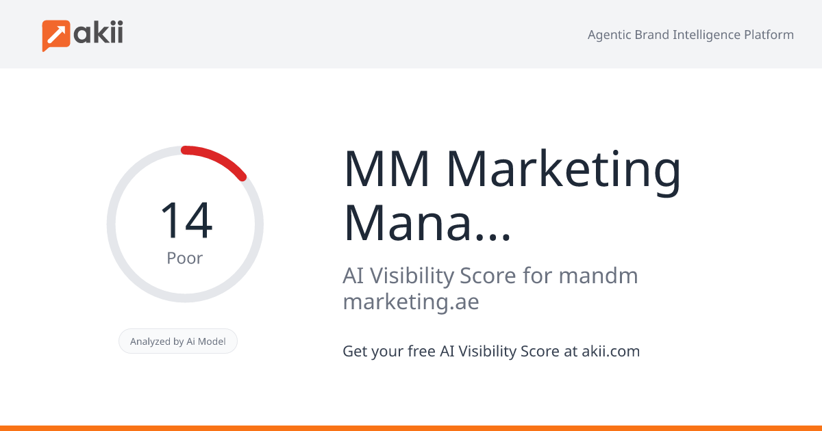 M&M Marketing Management LLC AI Visibility Score