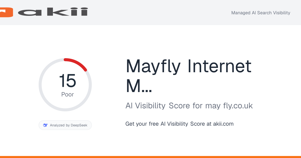 Mayfly Internet Marketing AI Visibility Score preview