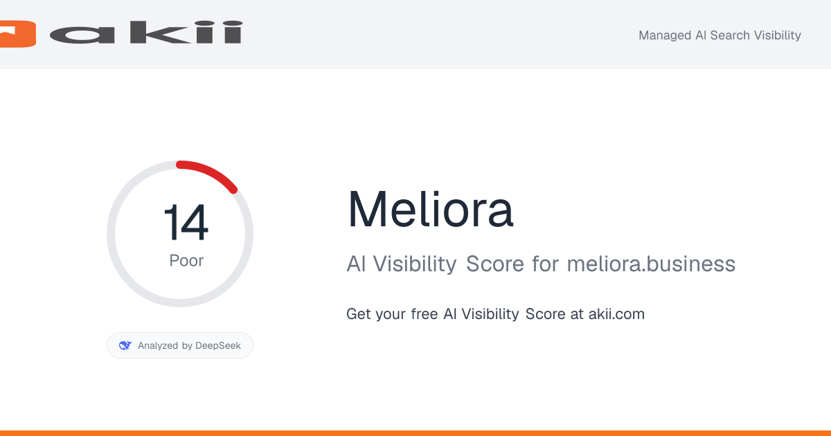 Meliora AI Visibility Score preview