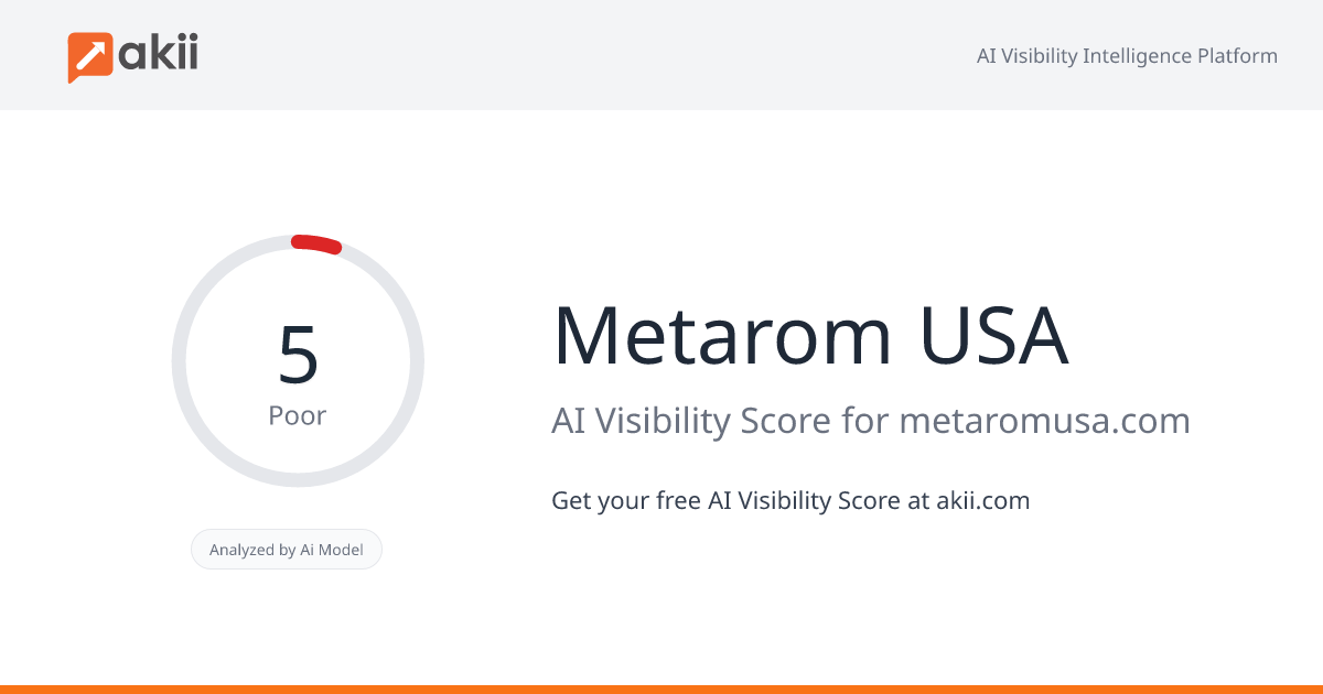 Metarom USA AI Visibility Score