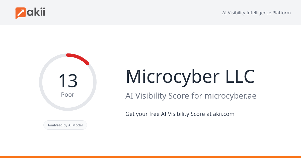 Microcyber LLC AI Visibility Score
